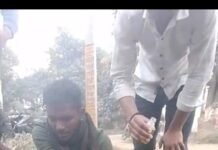 तार गांव के पास बड़ौर गांव में बीमार गौवंश का बजरंग दल ने कराया उपचार