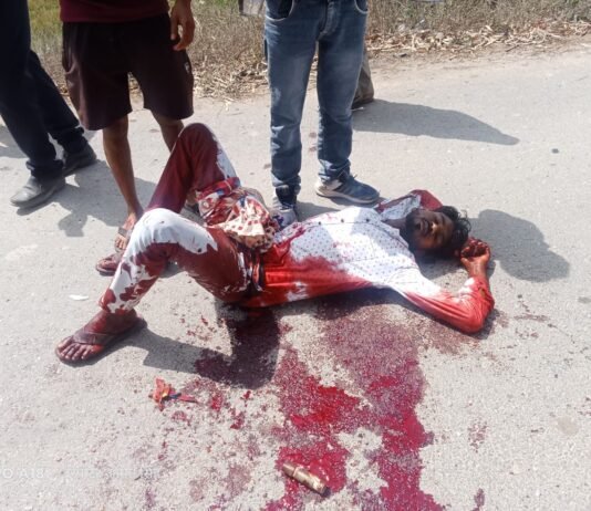 तेज रफ्तार डीसीएम ने ऑटो को मारी टक्कर, युवक गंभीर घायल